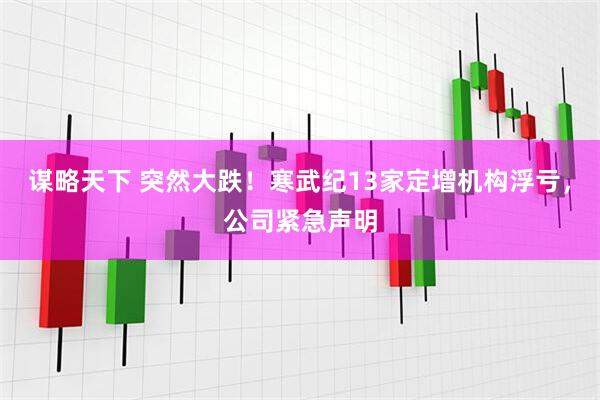 谋略天下 突然大跌！寒武纪13家定增机构浮亏，公司紧急声明