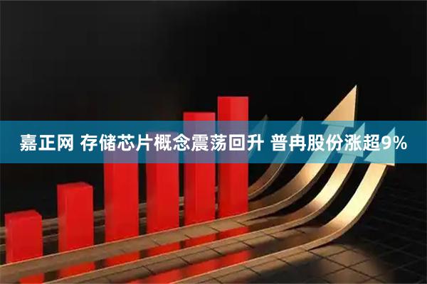 嘉正网 存储芯片概念震荡回升 普冉股份涨超9%