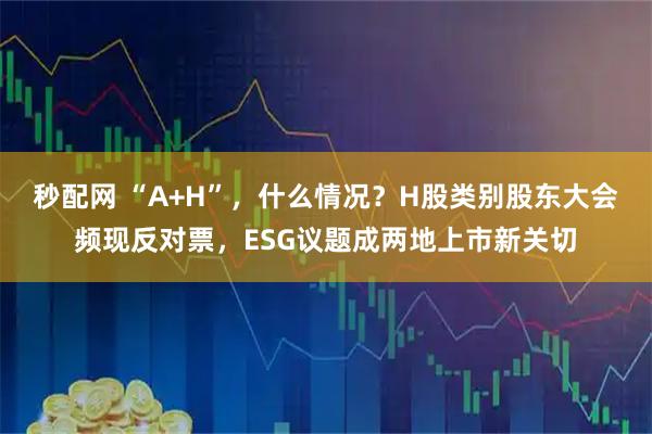 秒配网 “A+H”，什么情况？H股类别股东大会频现反对票，ESG议题成两地上市新关切